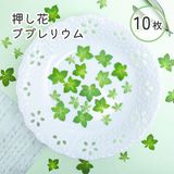 商品の一覧の画像