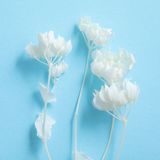 商品の一覧の画像