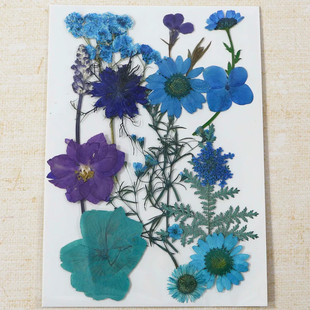 押し花　素材　ドライフラワー　押し花 アソート 　パープル　ブルー  デコパーツ  アクセサリー　レジン　レジン封入 A37