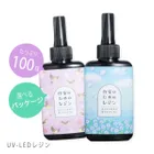 作家のためのレジン 100g