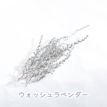 商品のサムネイル画像