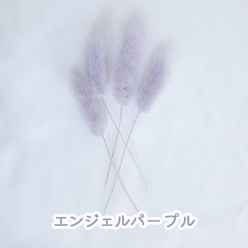 商品のサムネイル画像