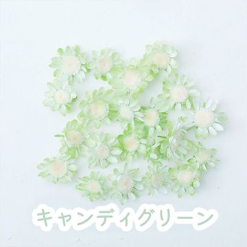 商品のサムネイル画像