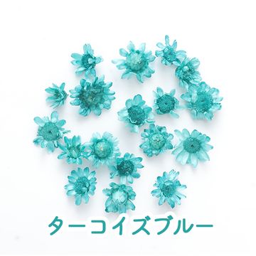 商品のサムネイル画像