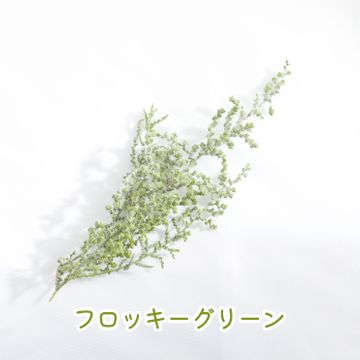 商品のサムネイル画像