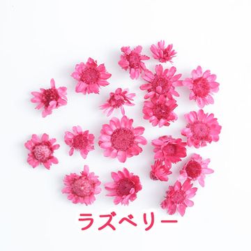 商品のサムネイル画像