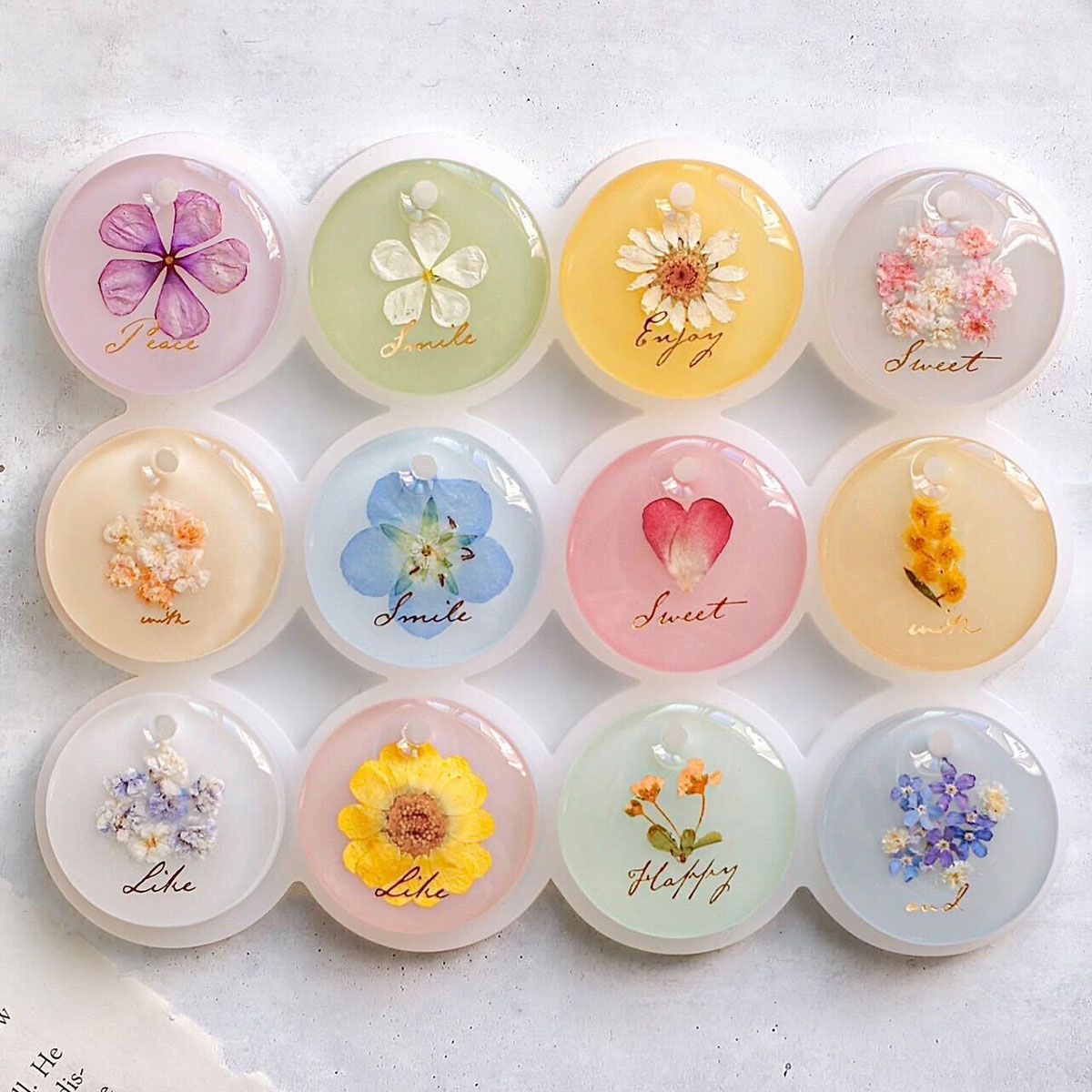 お花特集商品一覧 | クロッチャショップ