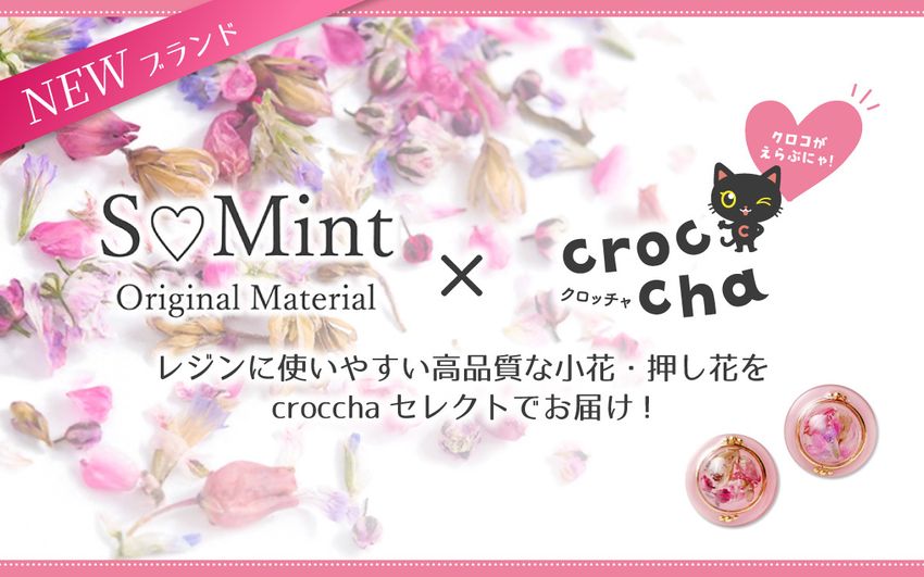 めんだこ特集