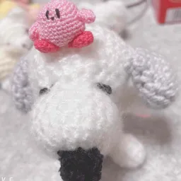 るとち