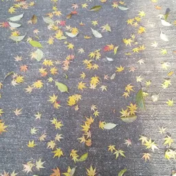 優